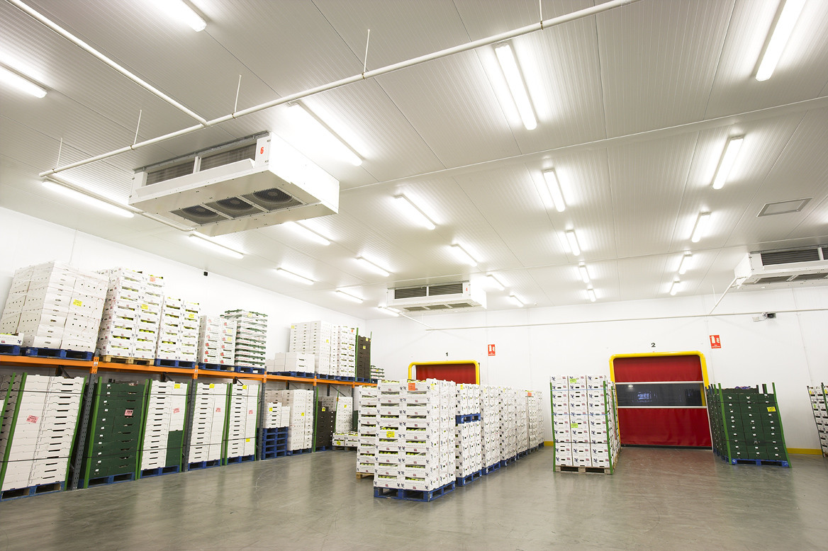 DDL dual discharge cooler installed in a chilled produce storage warehouse